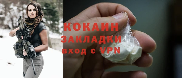 твердый Богданович