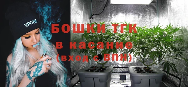 твердый Богданович