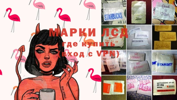 спиды Бронницы