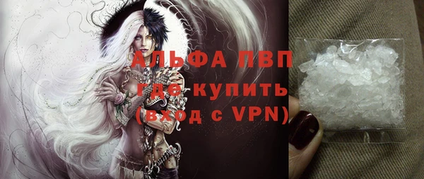 твердый Богданович