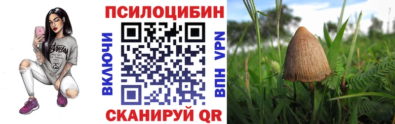 Псилоцибиновые грибы MAGIC MUSHROOMS Белоозёрский