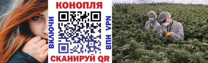 Каннабис семена Белоозёрский